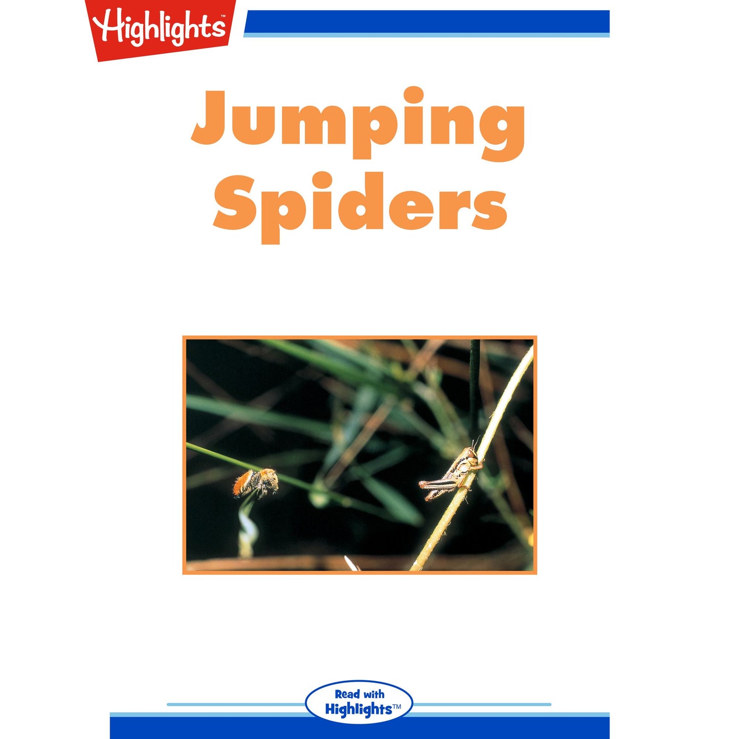 Jumping Spiders