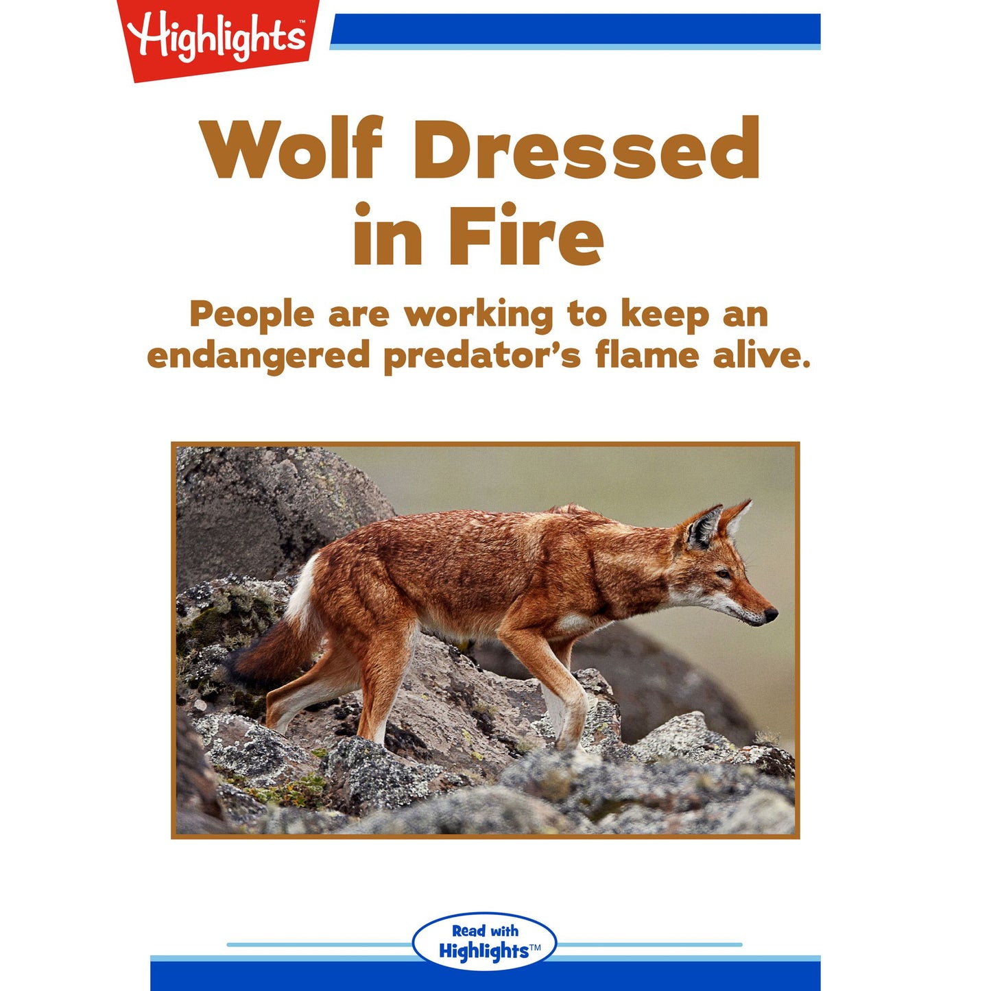 Wolf Dressed in Fire: People are working to keep an endangered predator's flame alive.
