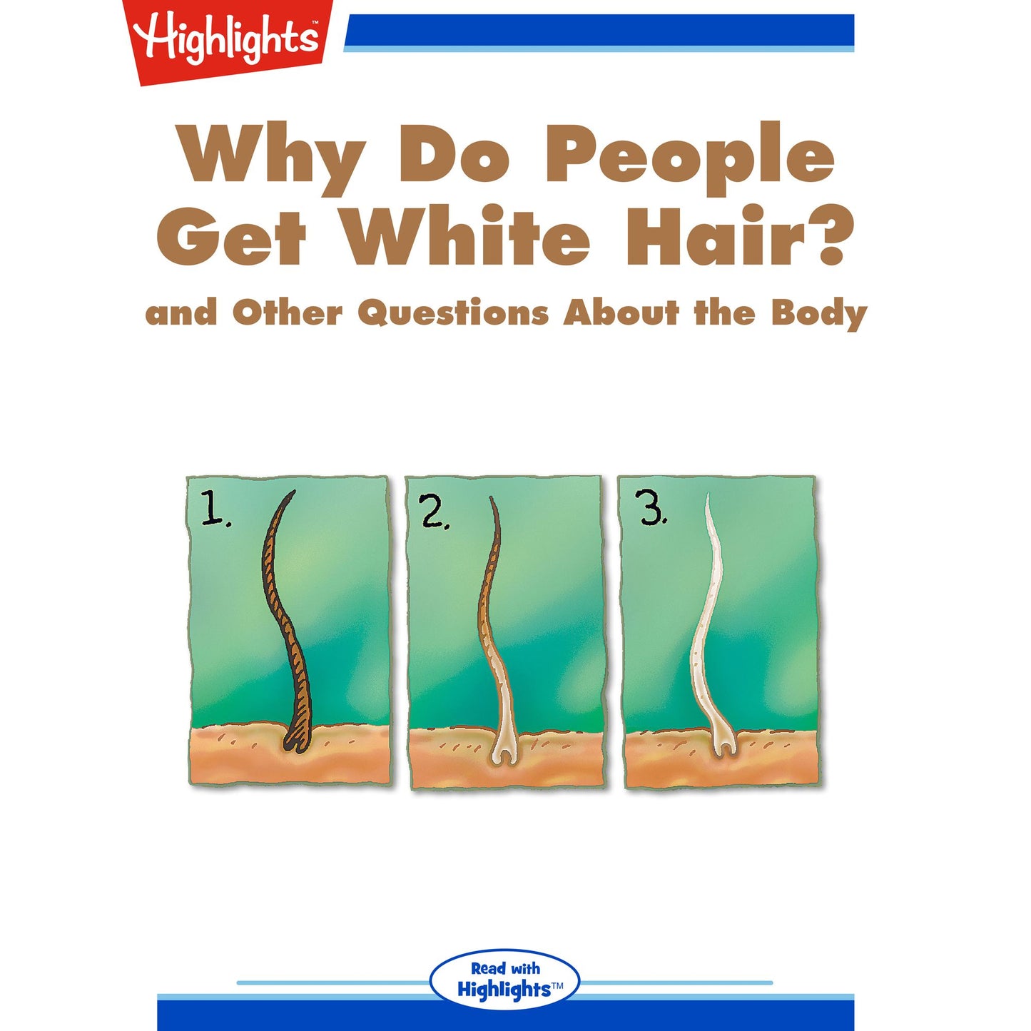 Why Do People Get White Hair?: and Other Questions About the Body