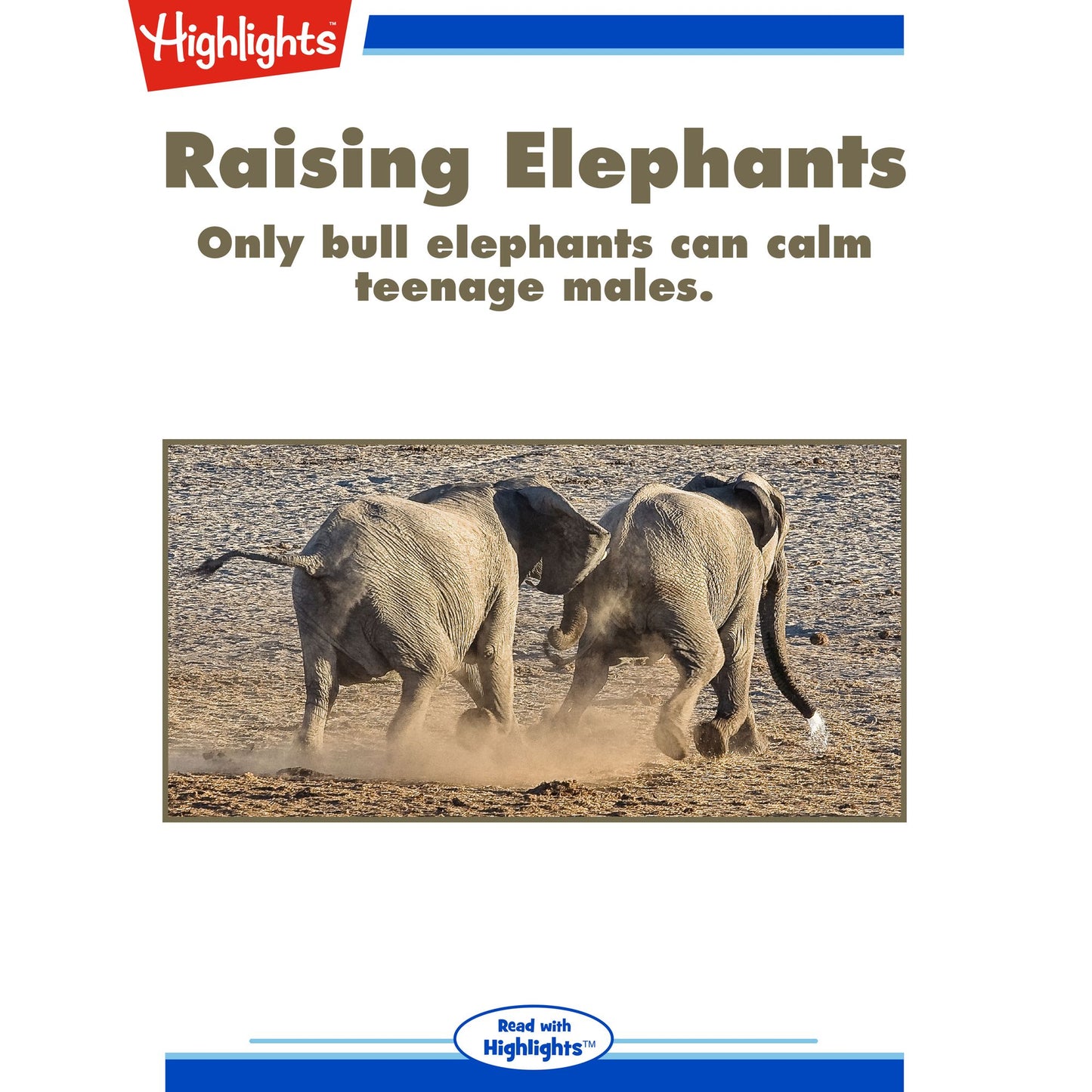 Raising Elephants: Only bull elephants can calm teenage males.