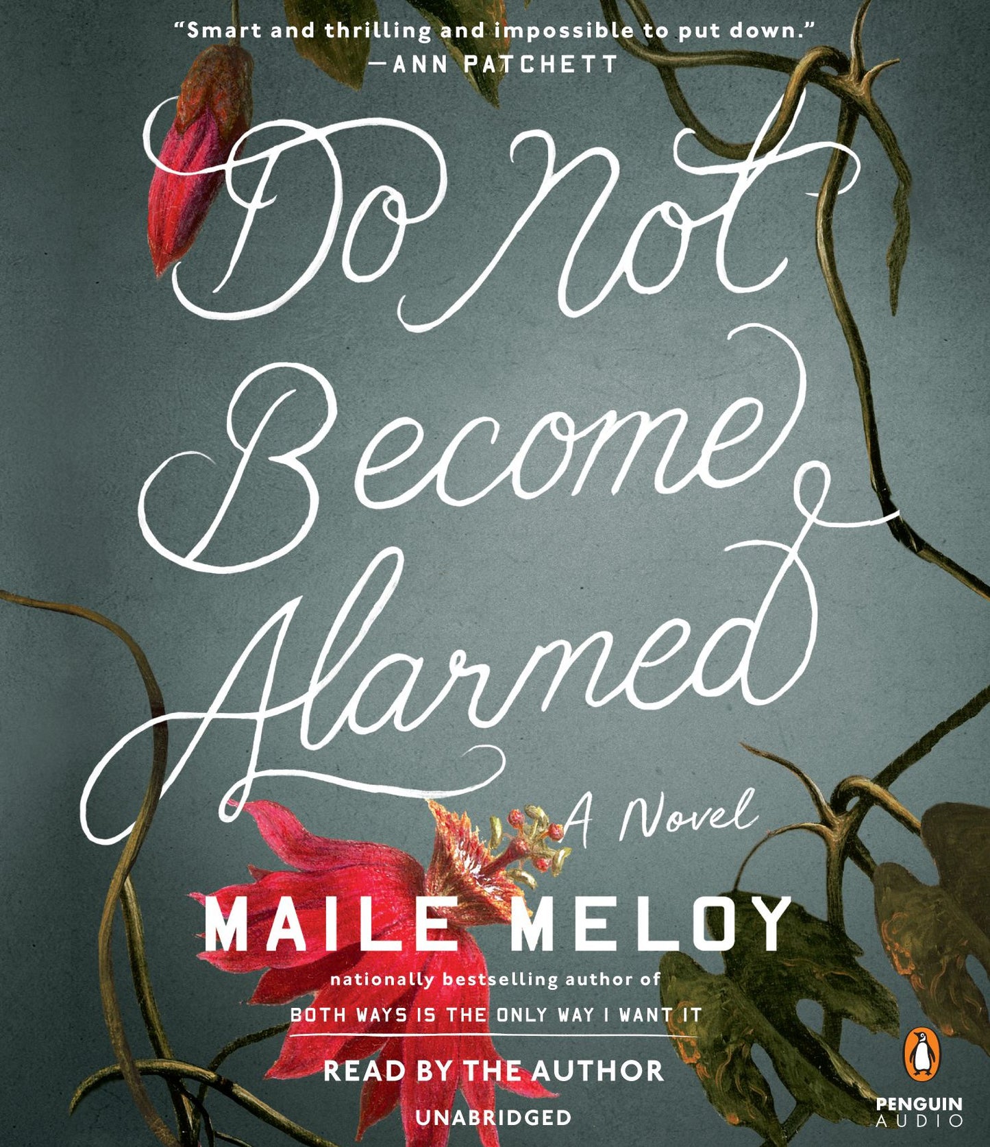 Do Not Become Alarmed: A Novel