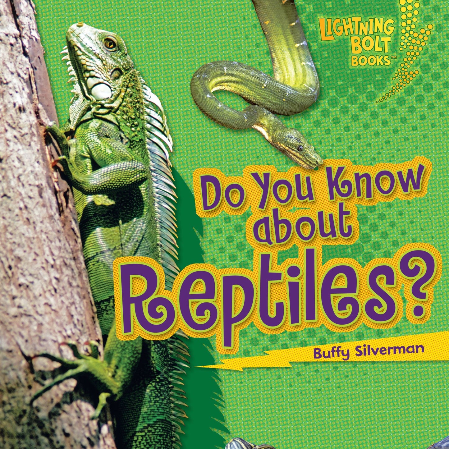 Do You Know about Reptiles?