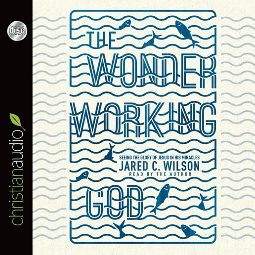 The Wonder-Working God: Seeing the Glory of Jesus in His Miracles