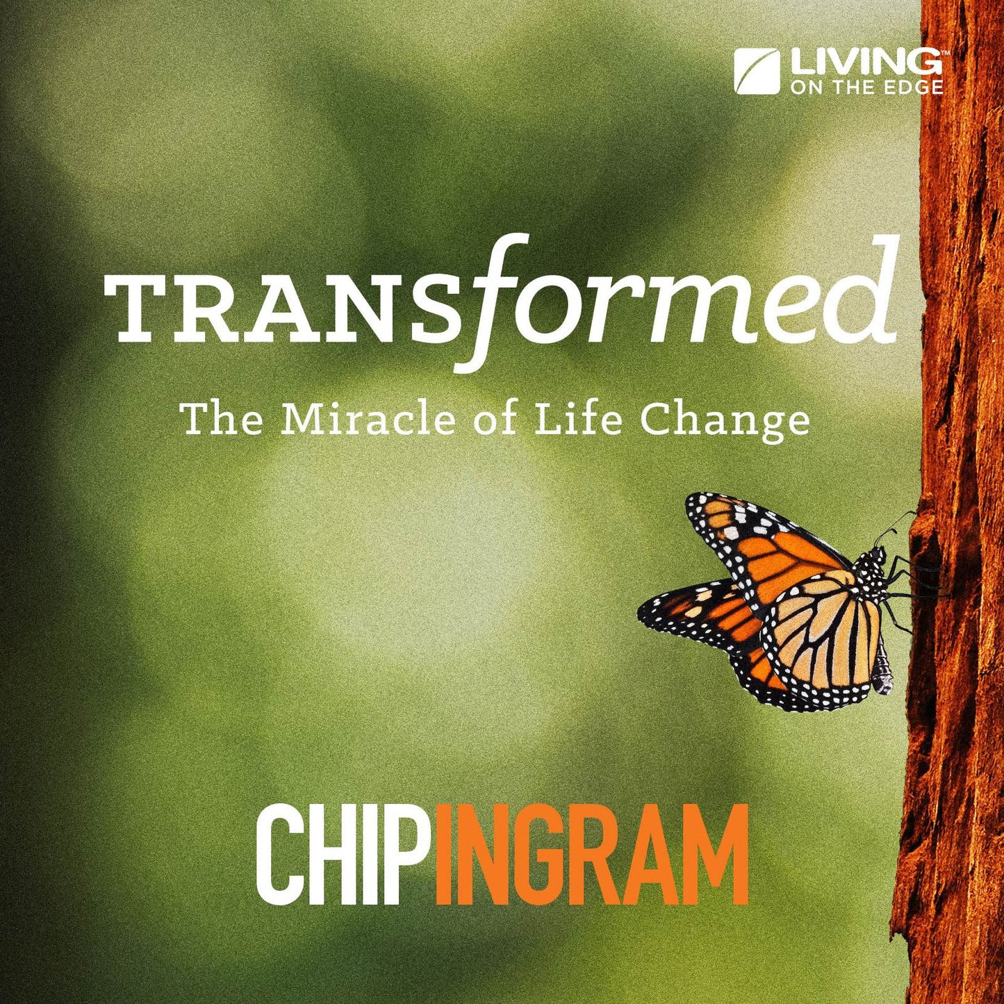 Transformed: The Miracle of Life Change
