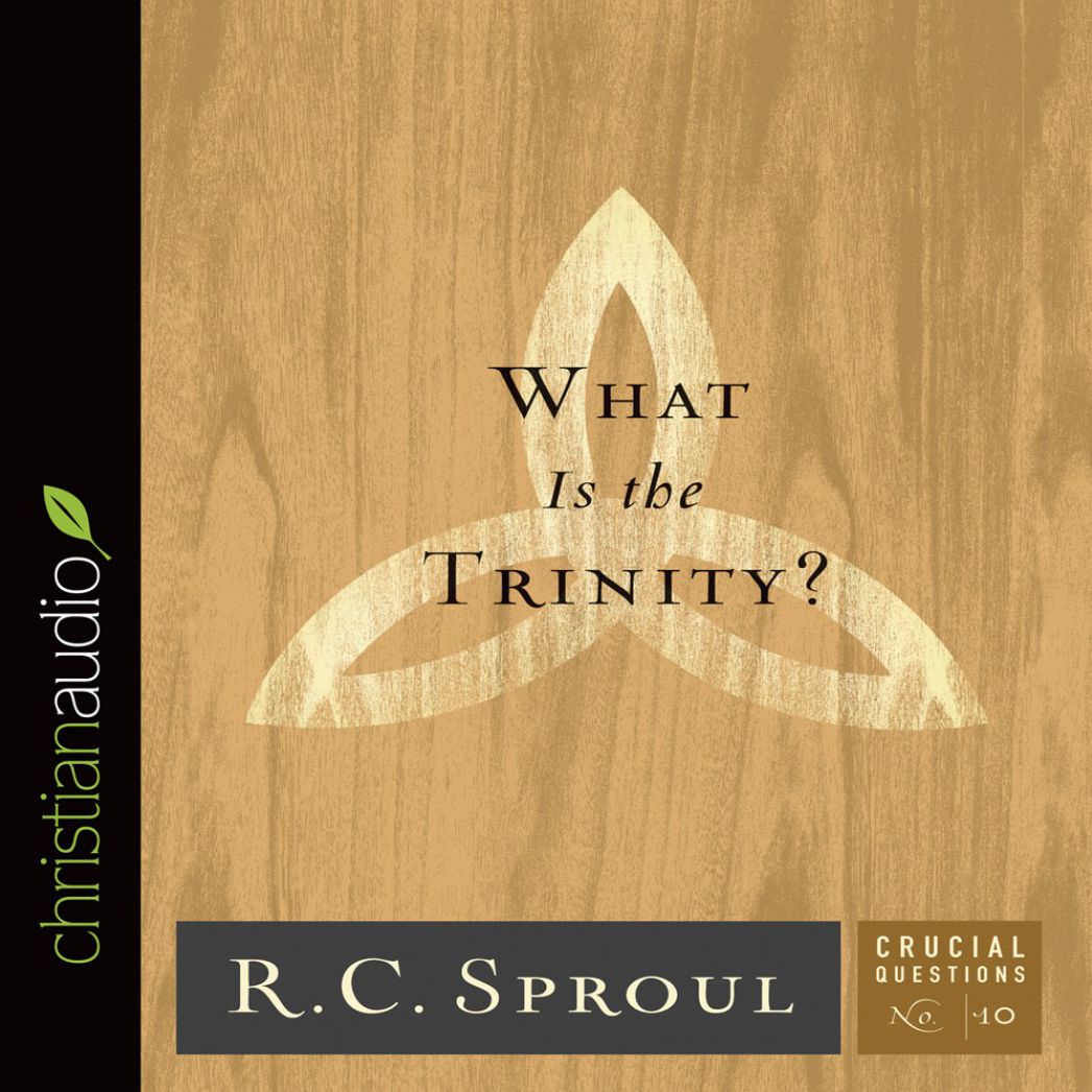 What Is the Trinity?