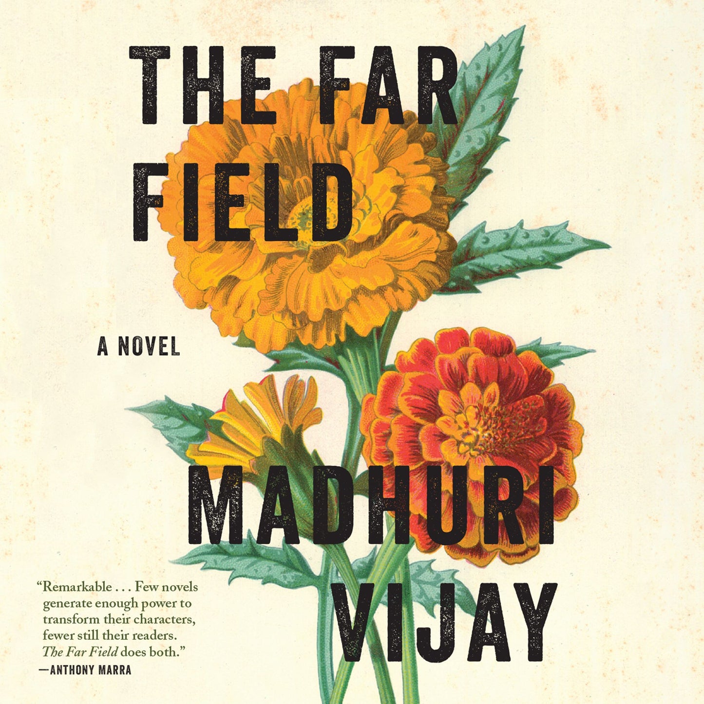 The Far Field : A Novel