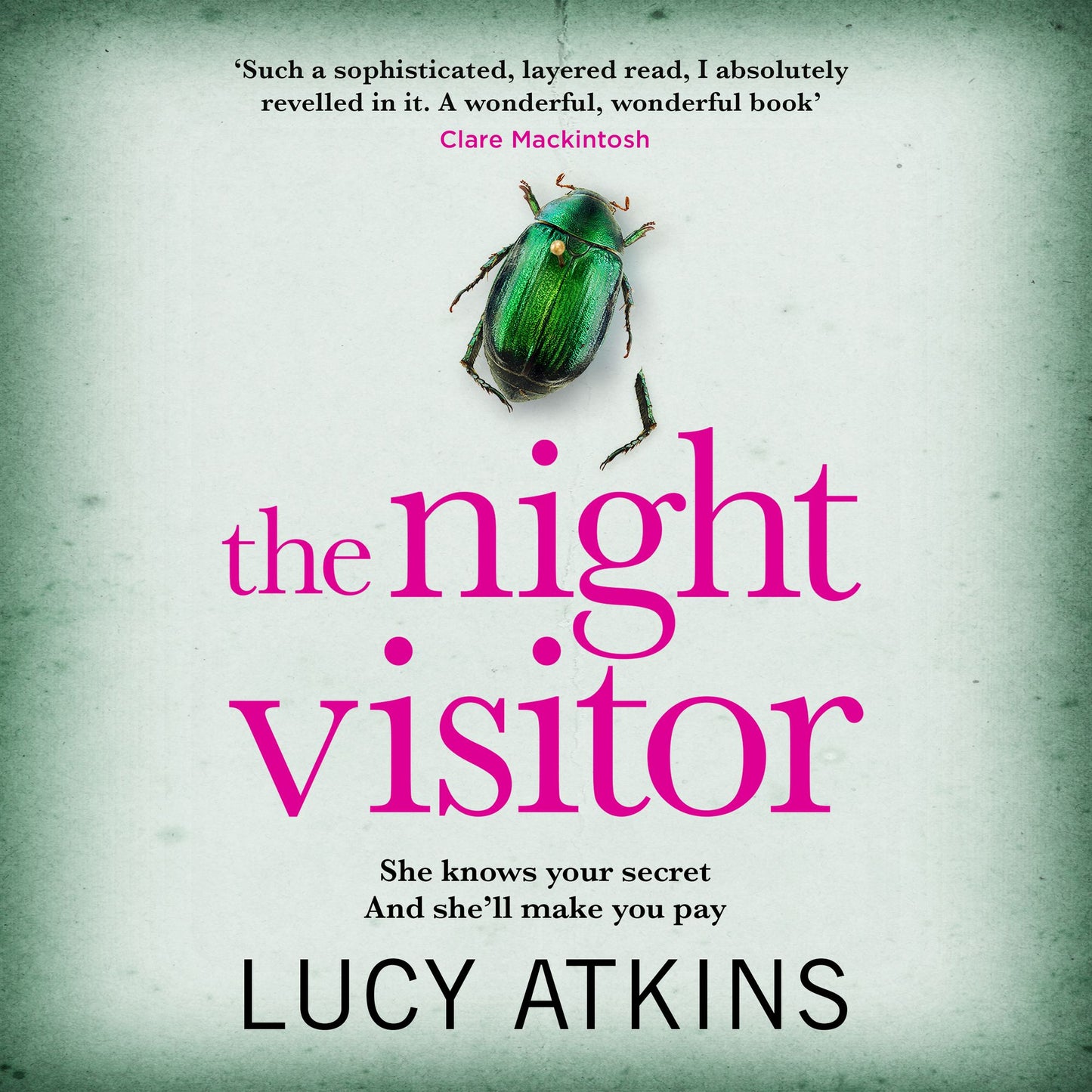 The Night Visitor