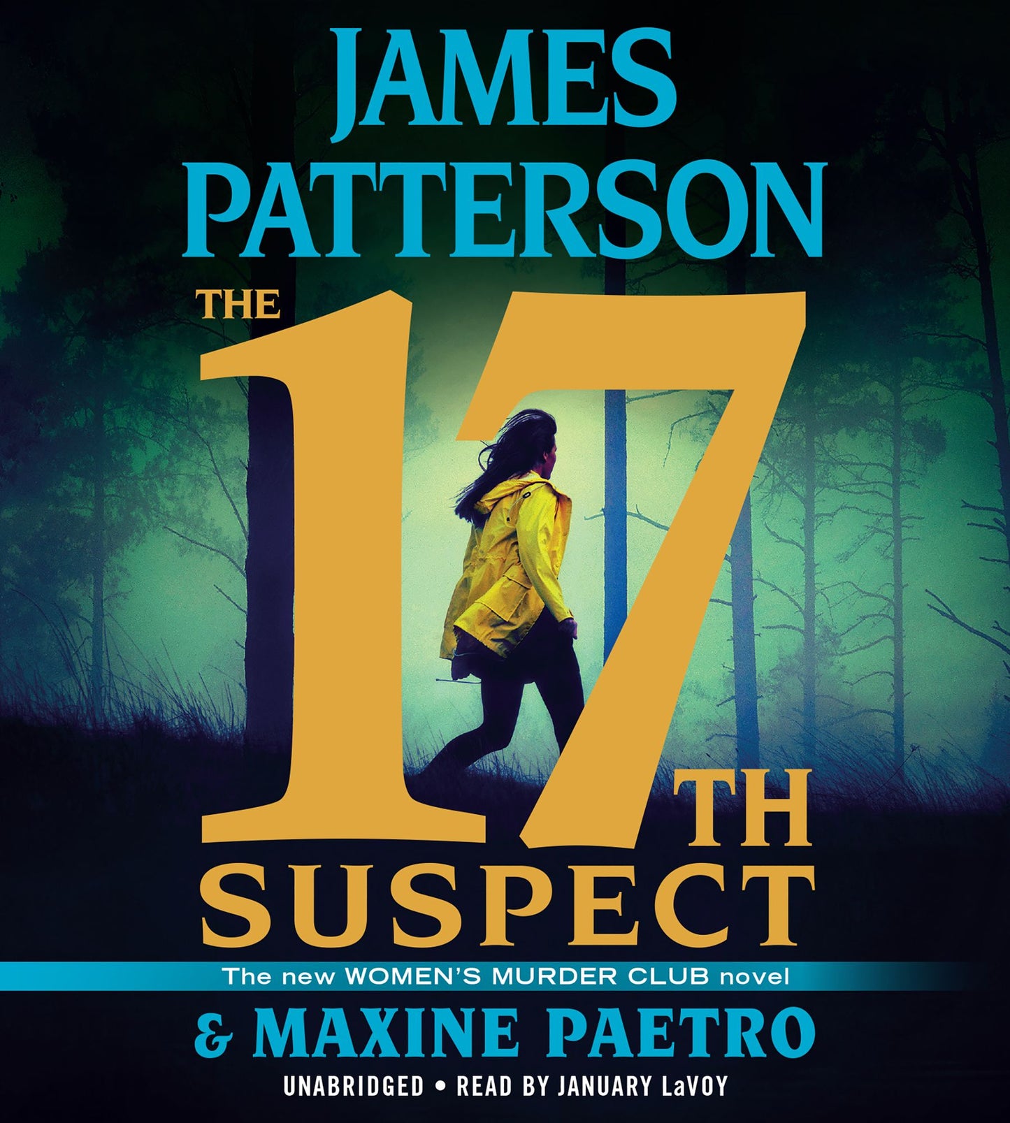 The 17th Suspect