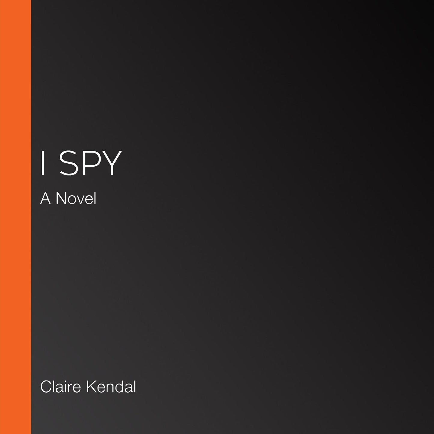 I Spy: A Novel