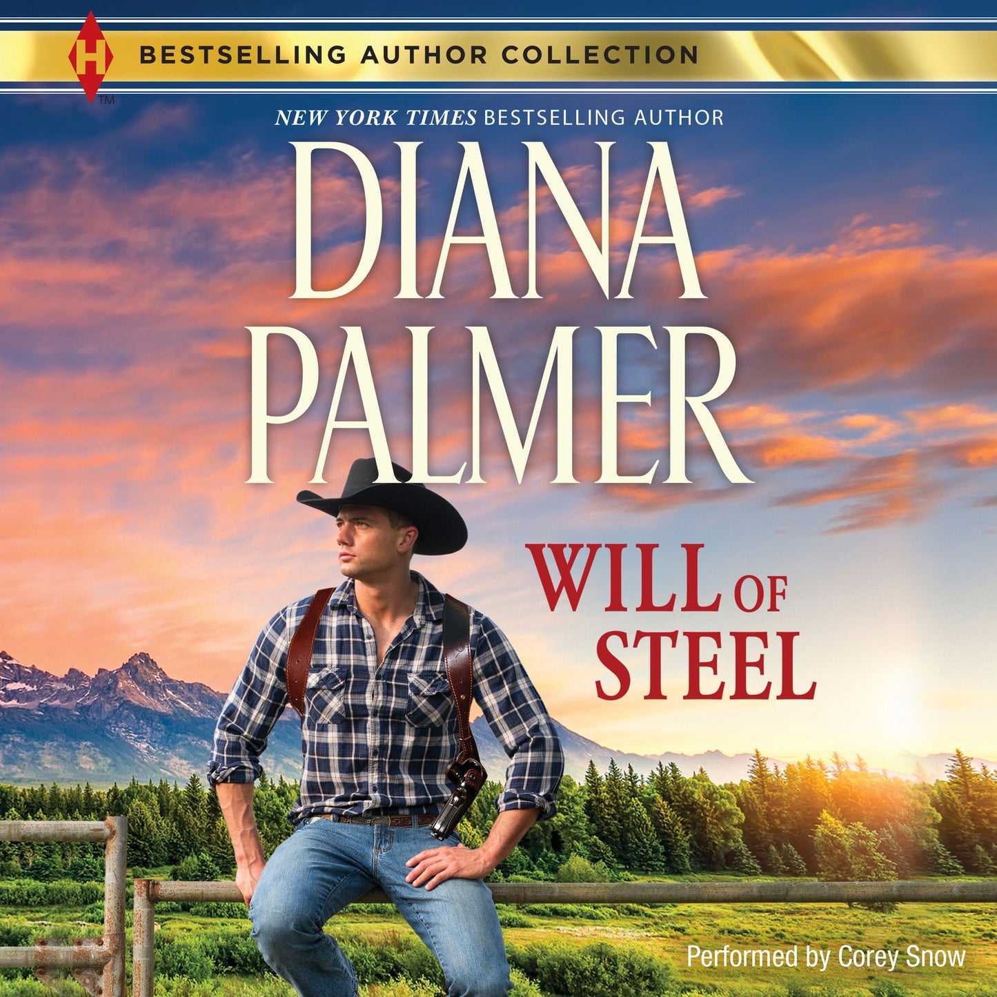 Will of Steel: (The Men of Medicine Ridge)