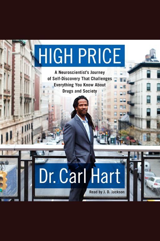 High Price: A Neuroscientist's Journey of Self-Discovery That Challenges Everything You Know About Drugs and Society