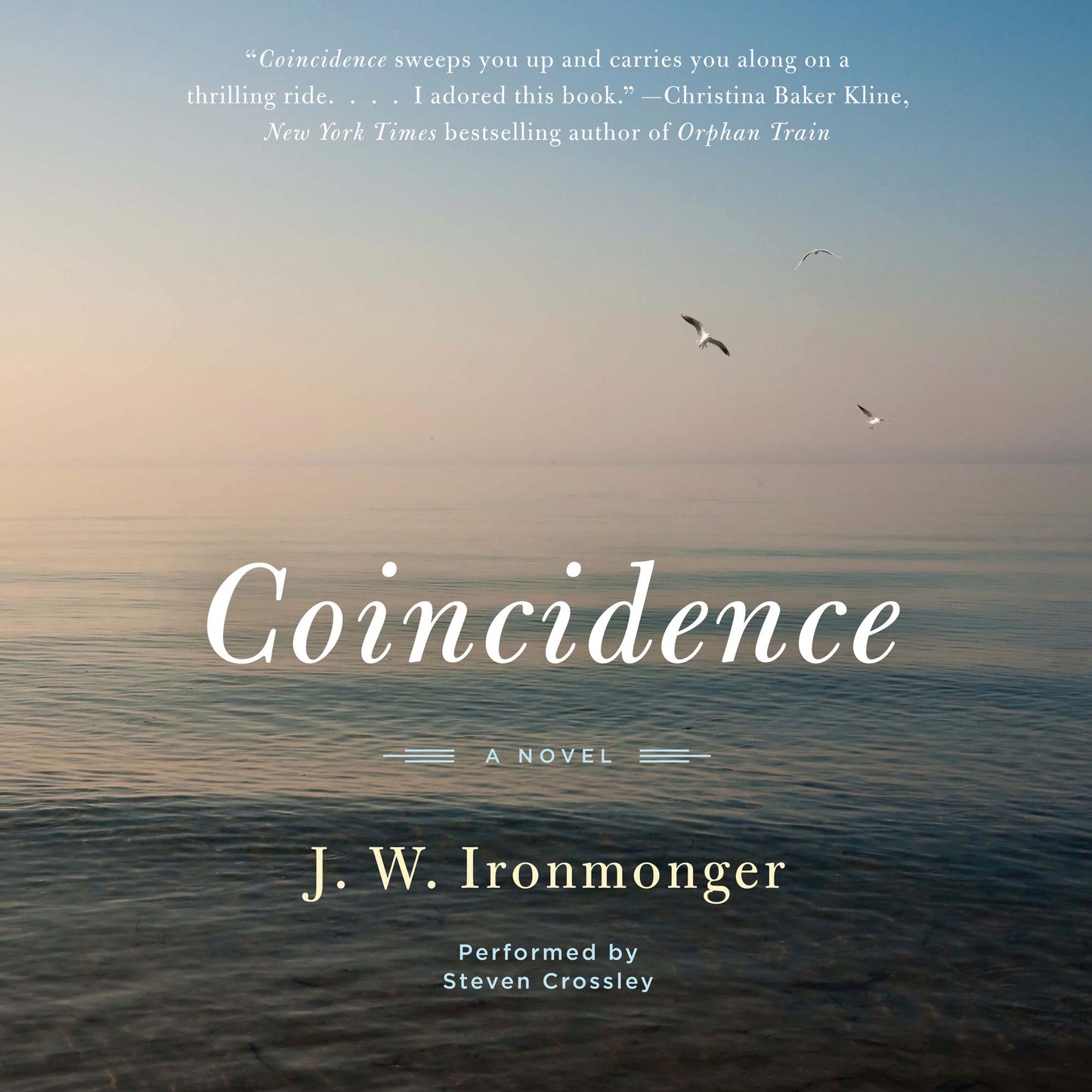 Coincidence: A Novel