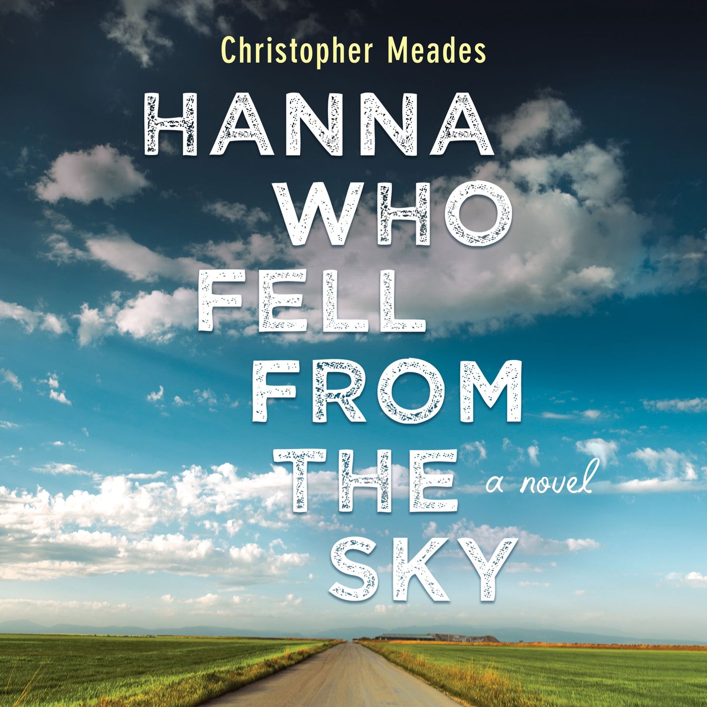 Hanna Who Fell from the Sky: A Novel