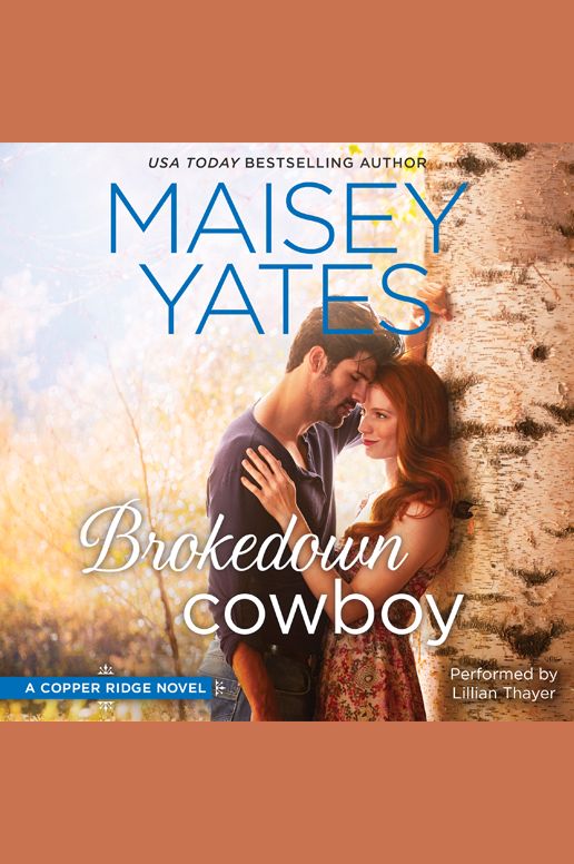 Brokedown Cowboy