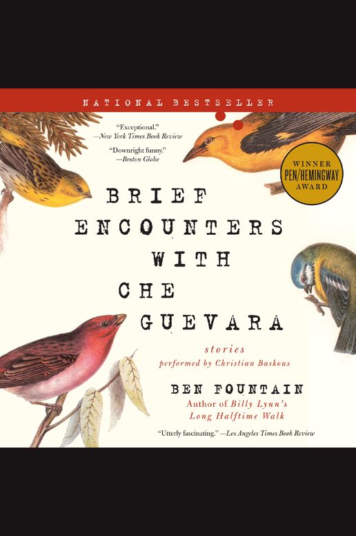 Brief Encounters with Che Guevara: Stories