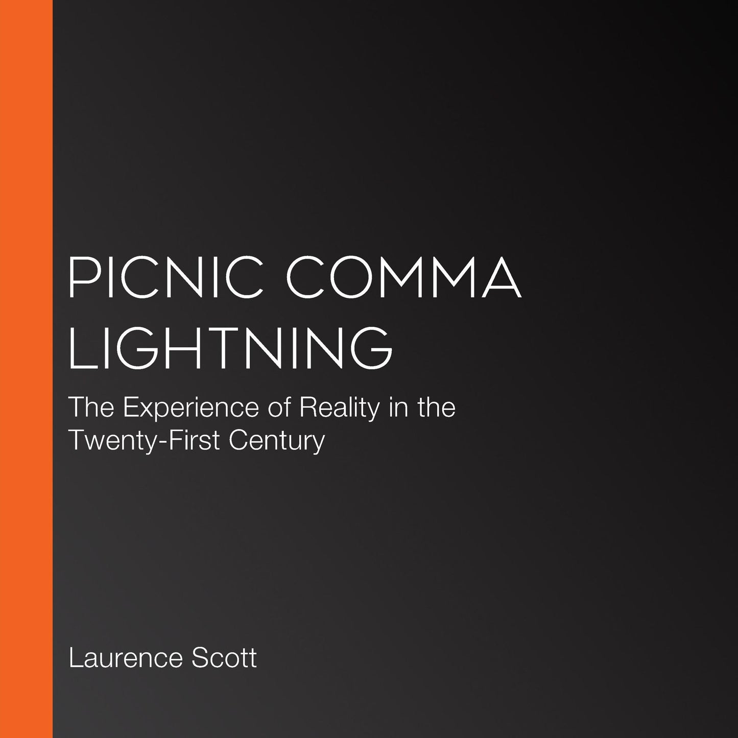 Picnic Comma Lightning: The Experience of Reality in the Twenty-First Century