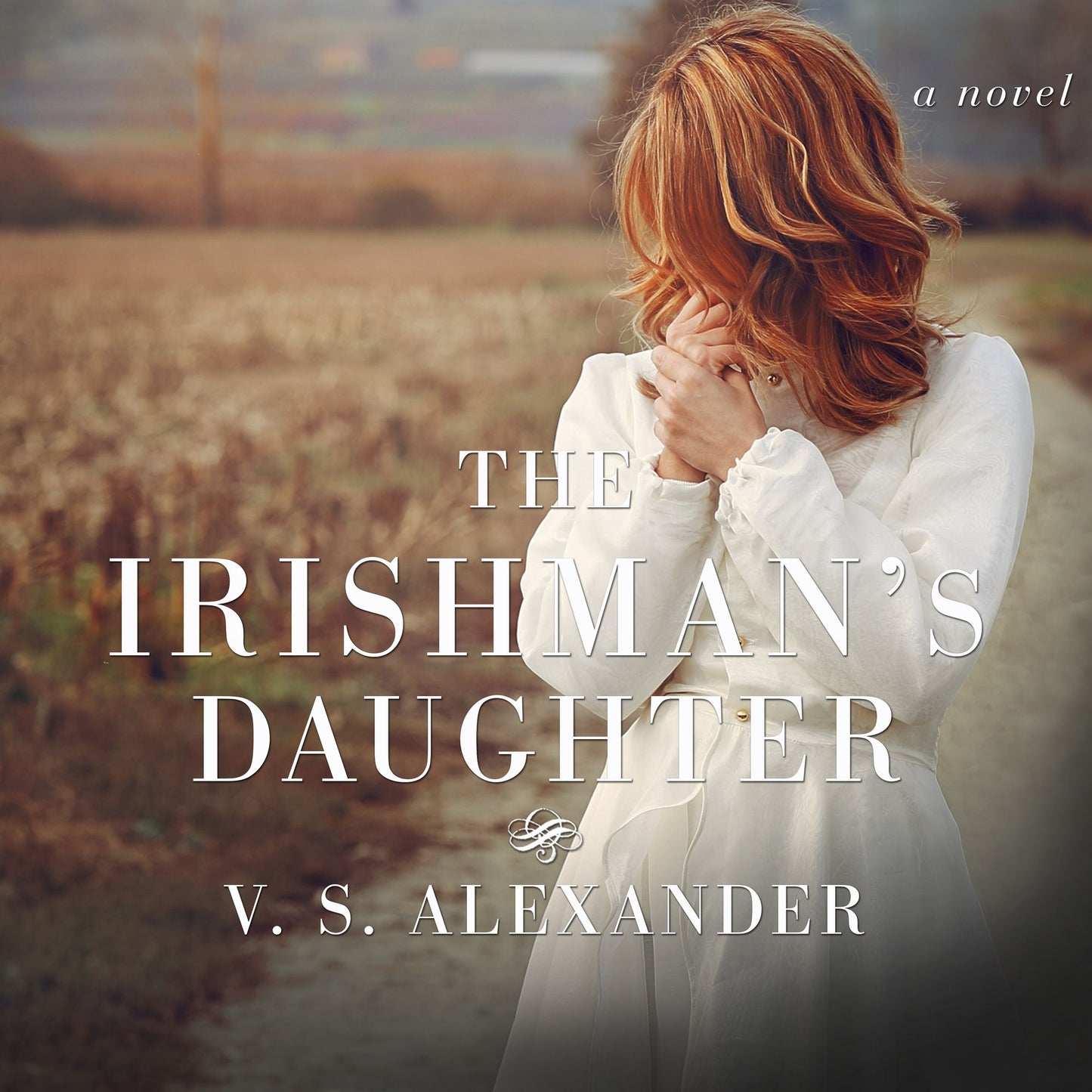 The Irishman's Daughter: a novel