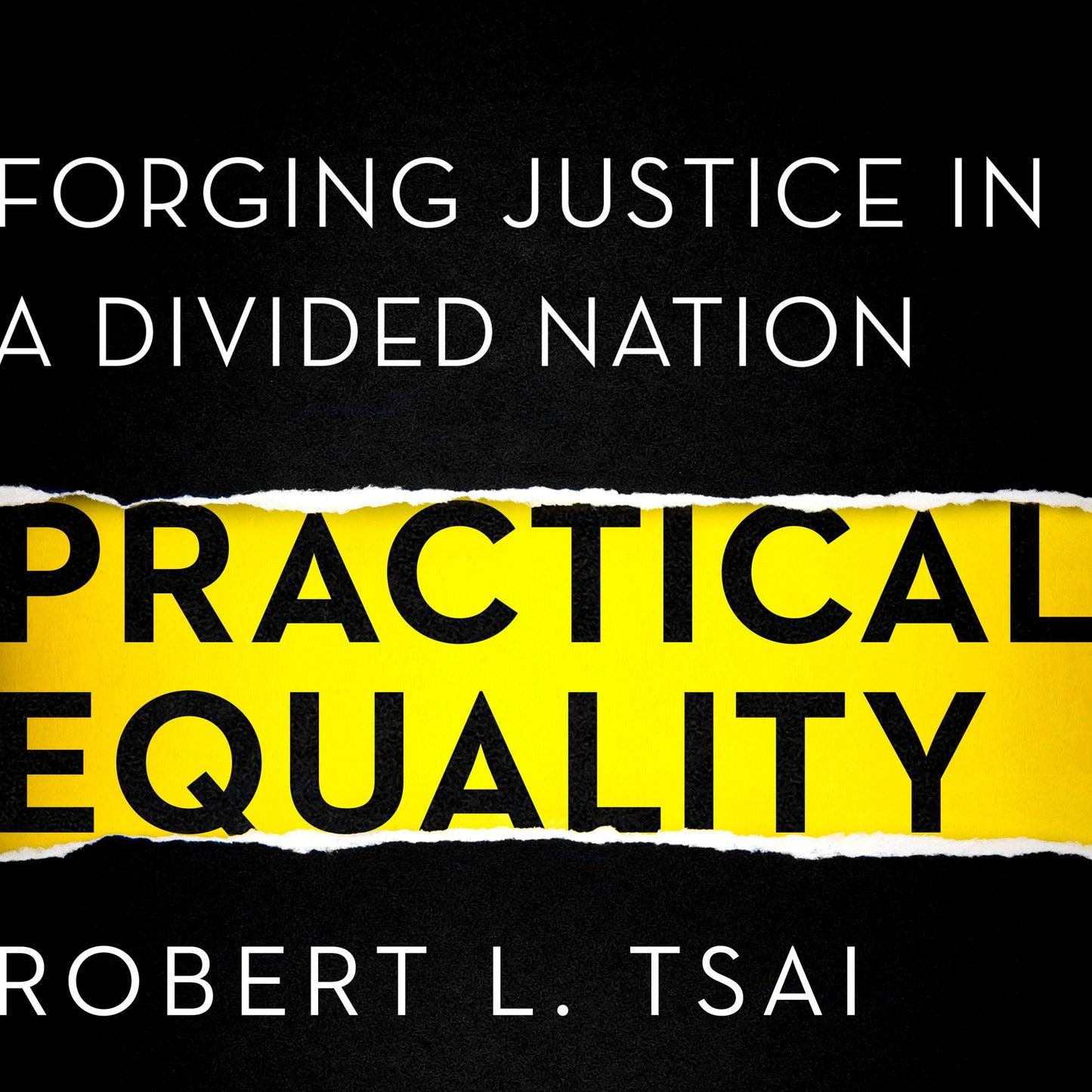 Practical Equality: Forging Justice in a Divided Nation