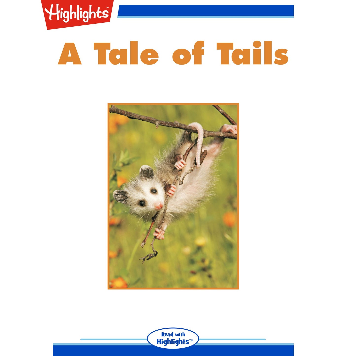 A Tale of Tails