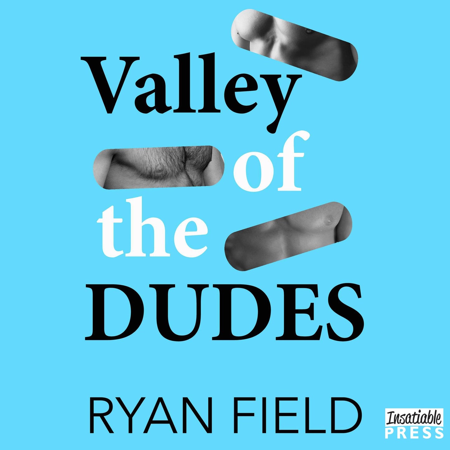Valley of the Dudes