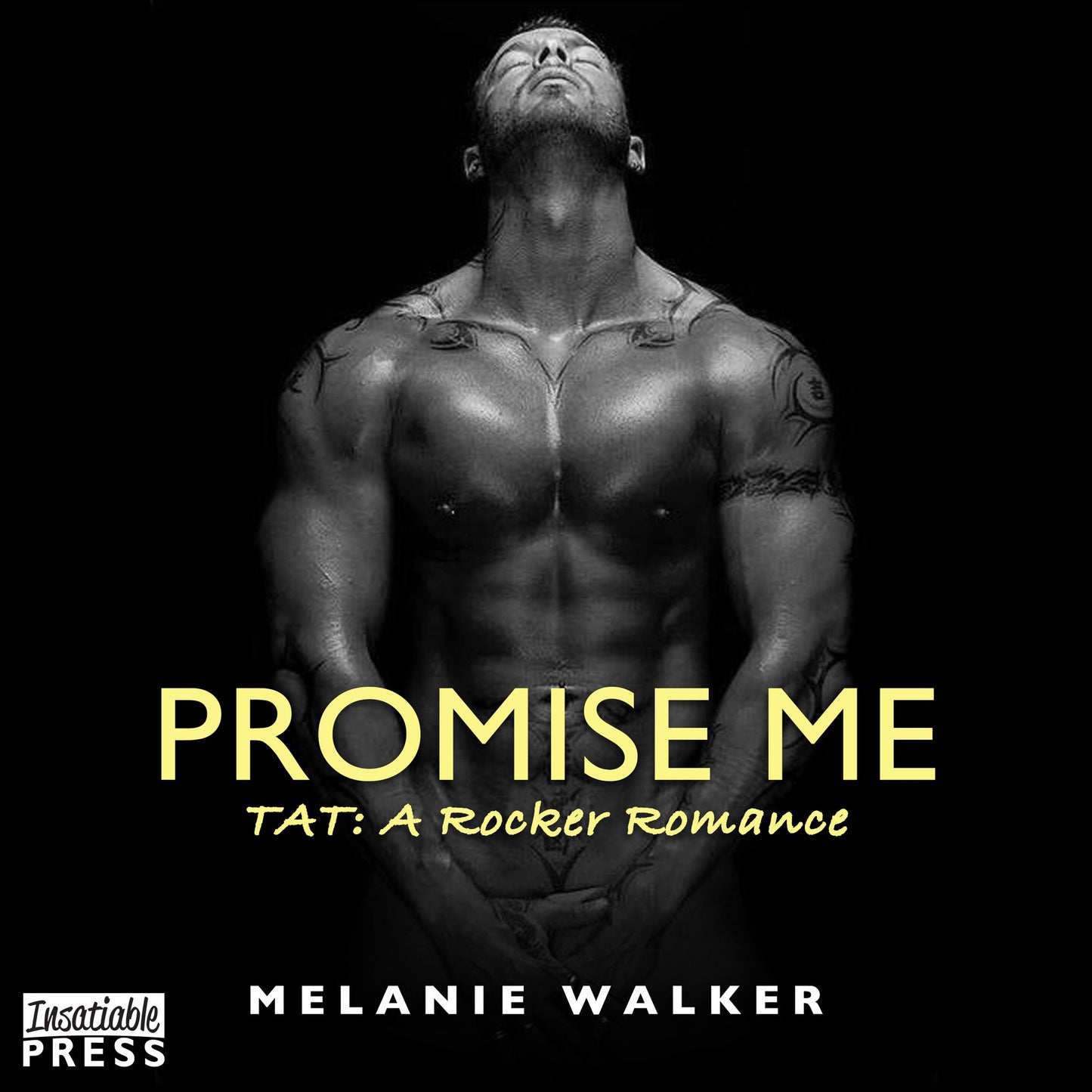 Promise Me: The Final Encore: TAT: A Rocker Romance, Book 6