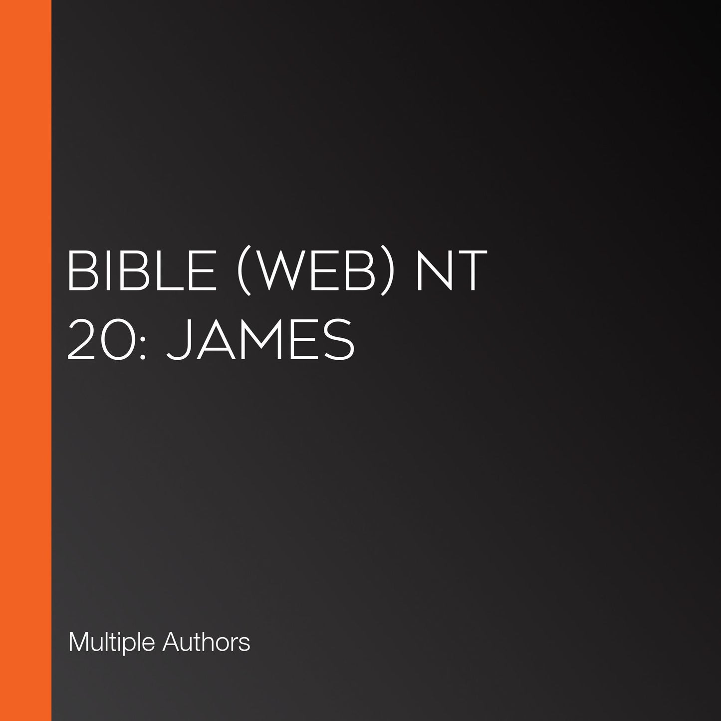 Bible (WEB) NT 20: James