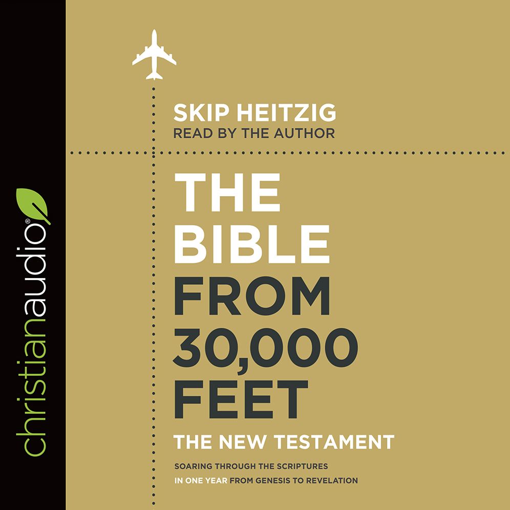 Bible from 30,000 Feet: The New Testament, The: Soaring Through the Scriptures in One Year from Genesis to Revelation