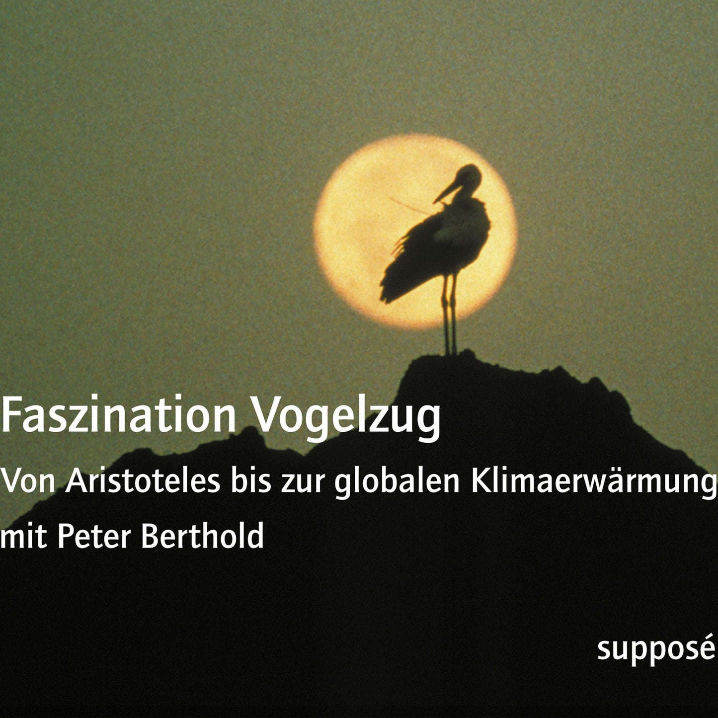 Faszination Vogelzug: Von Aristoteles bis zur globalen Klimaerwärmung (Abridged)