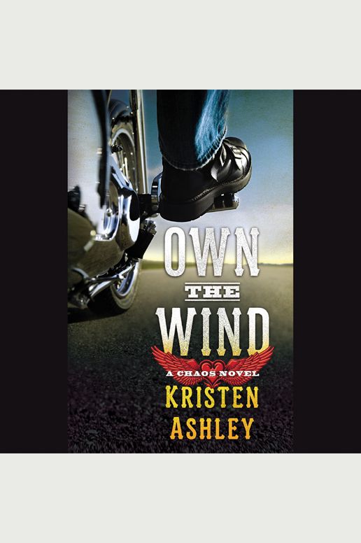 Own the Wind: A Chaos Novel