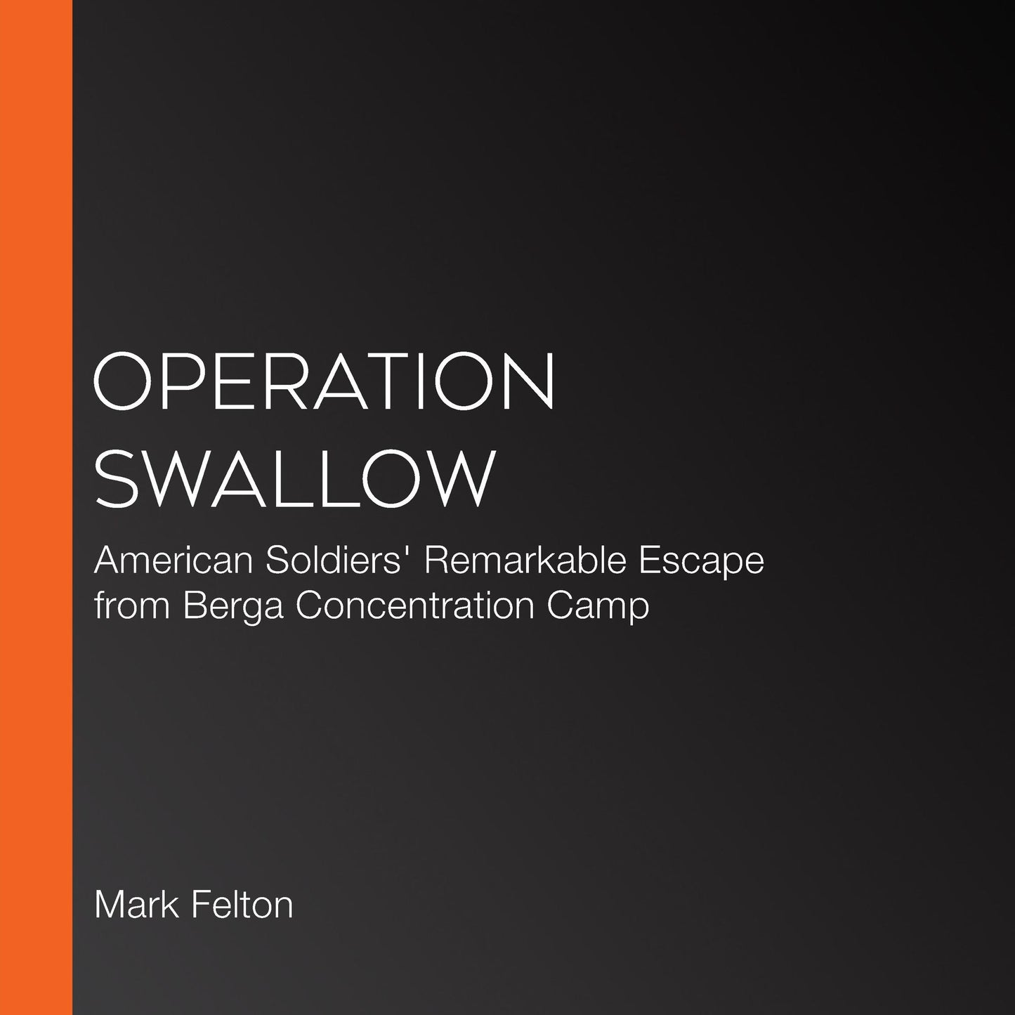 Operation Swallow: American Soldiers' Remarkable Escape from Berga Concentration Camp