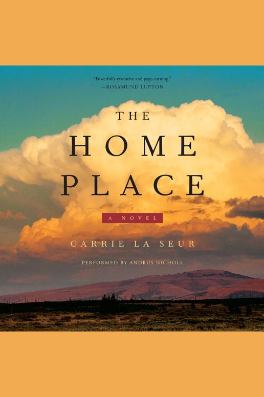 The Home Place: A Novel