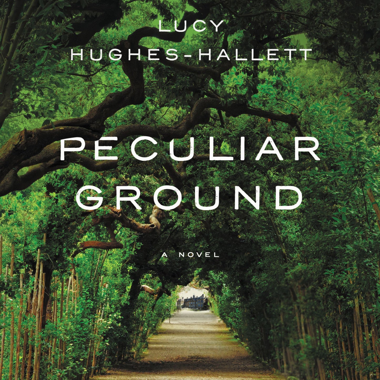 Peculiar Ground: A Novel
