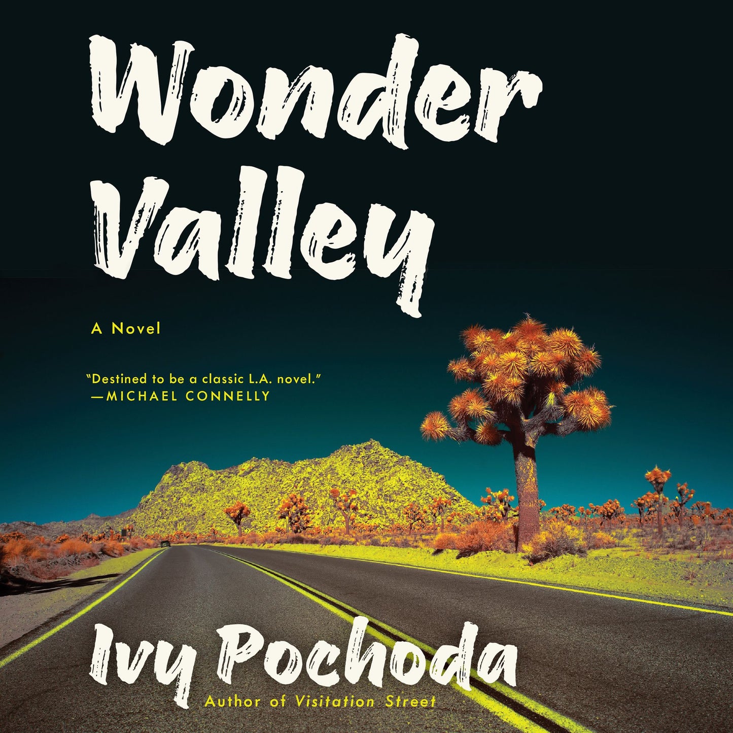 Wonder Valley: A Novel