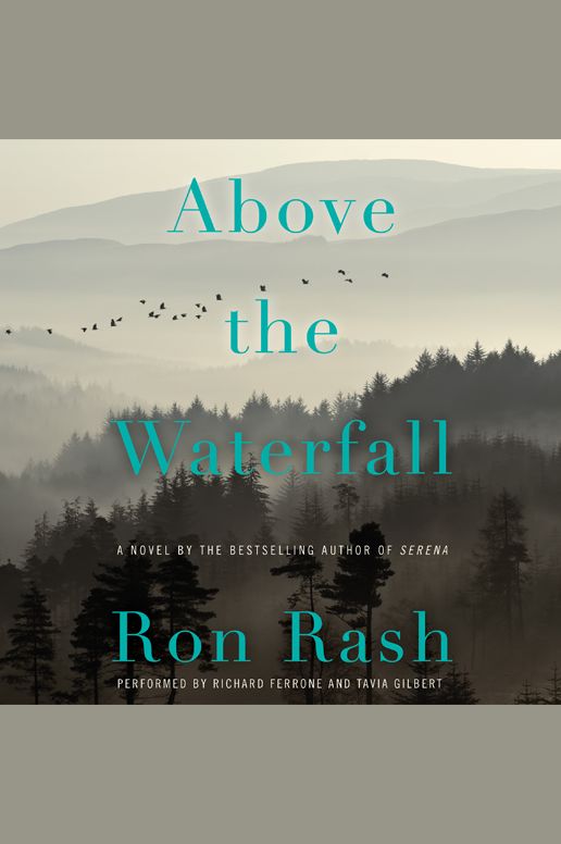 Above the Waterfall: A Novel