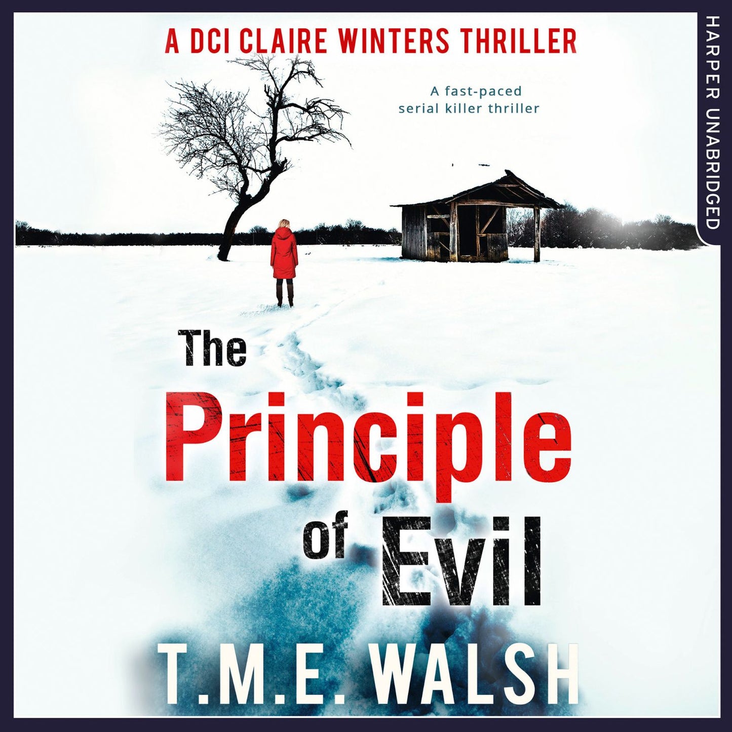 The Principle Of Evil: A DCI Claire Winters Thriller