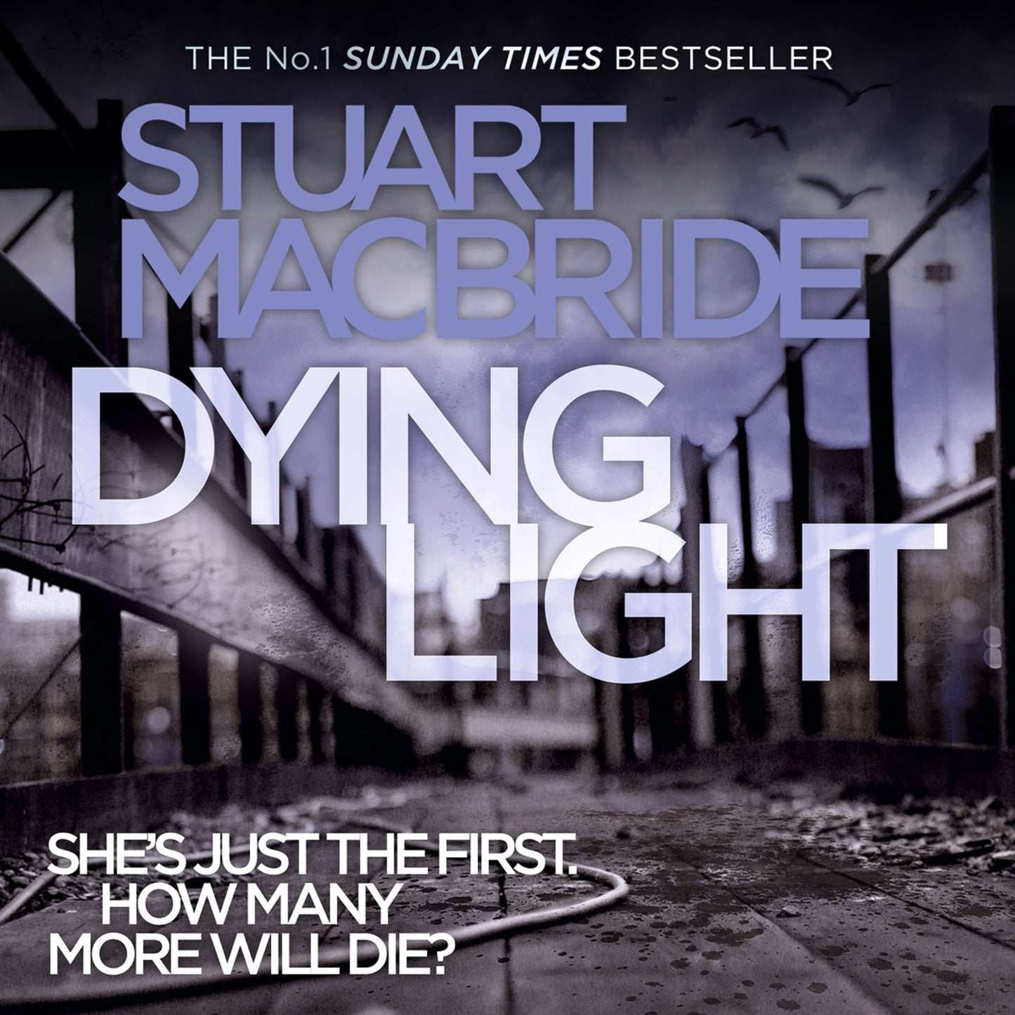 Dying Light (Logan McRae, Book 2): She's Just The First. How Many More Will Die?