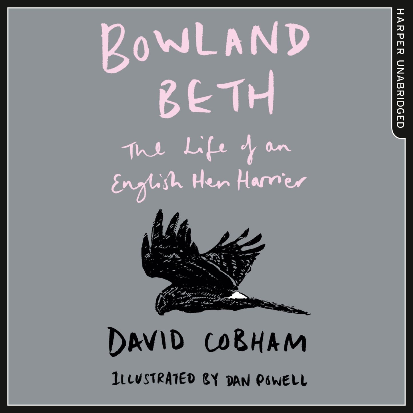 Bowland Beth: The Life of an English Hen Harrier