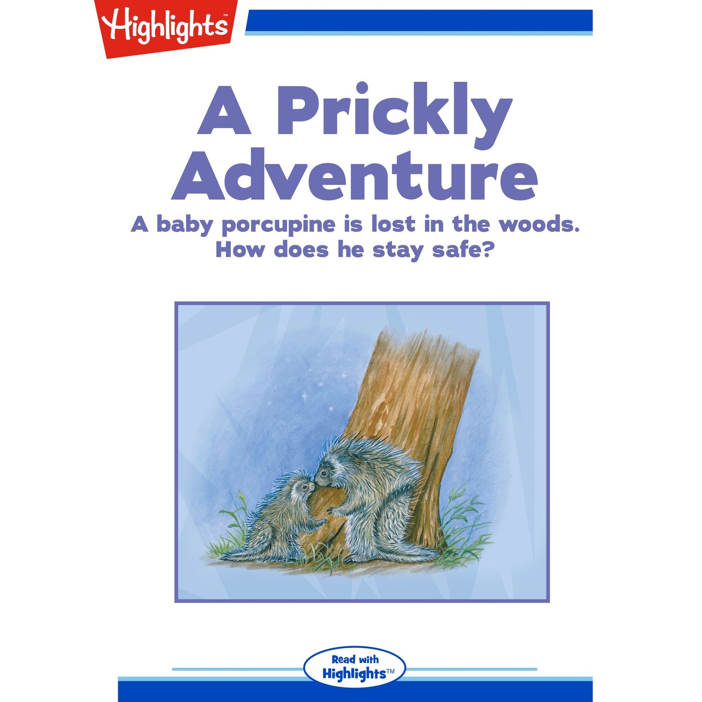 A Prickly Adventure: A baby porcupine is lost in the woods. How does he stay safe?