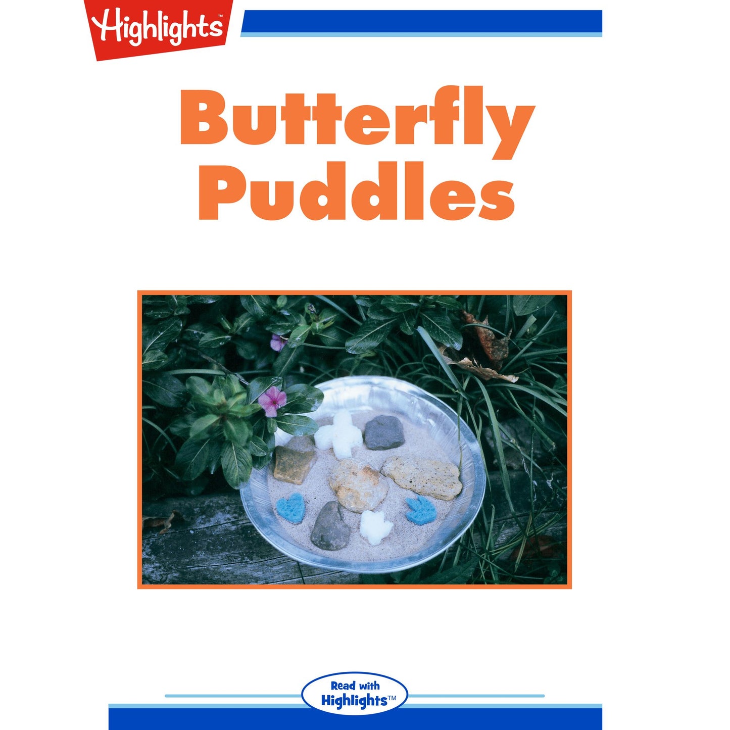 Butterfly Puddles