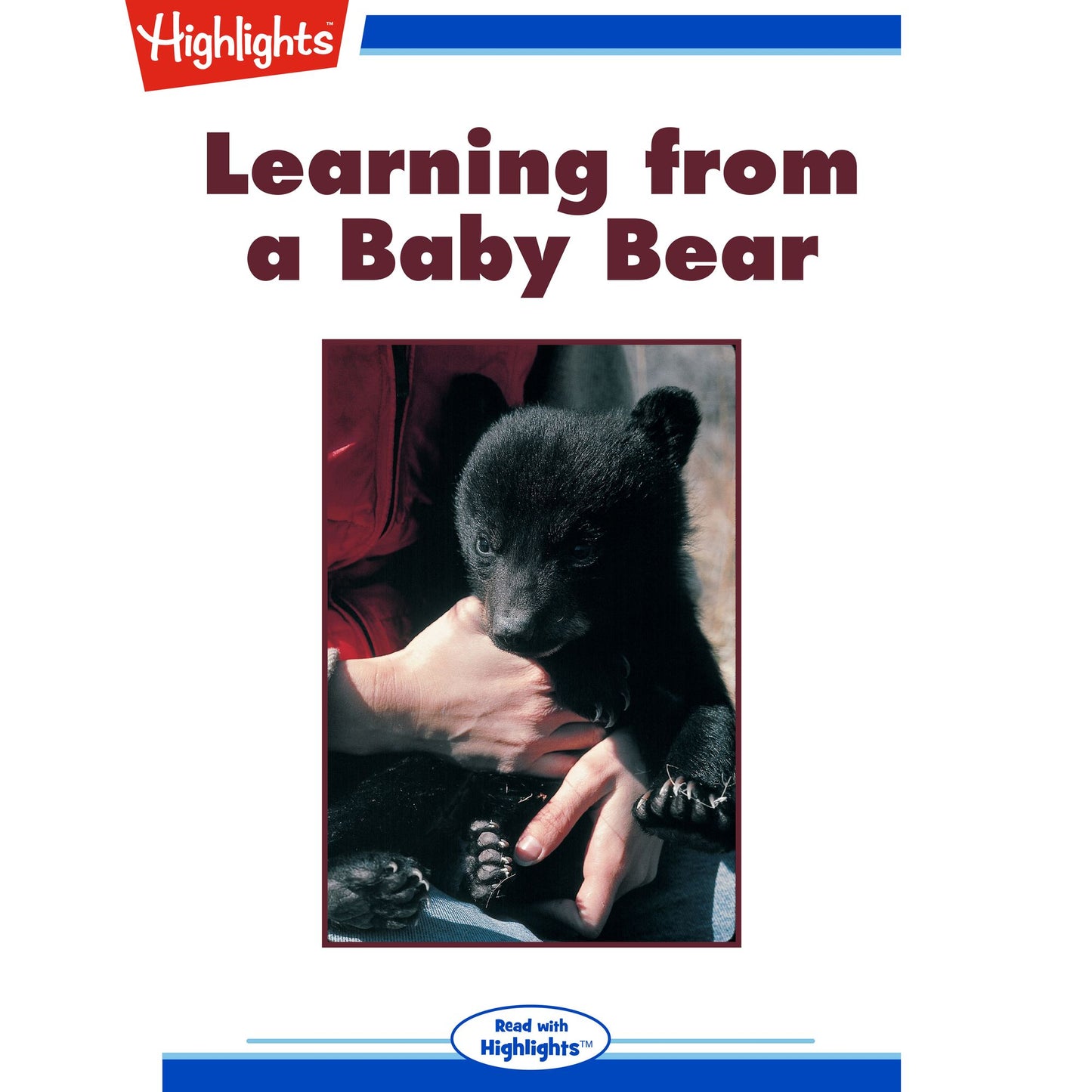 Learning from a Baby Bear