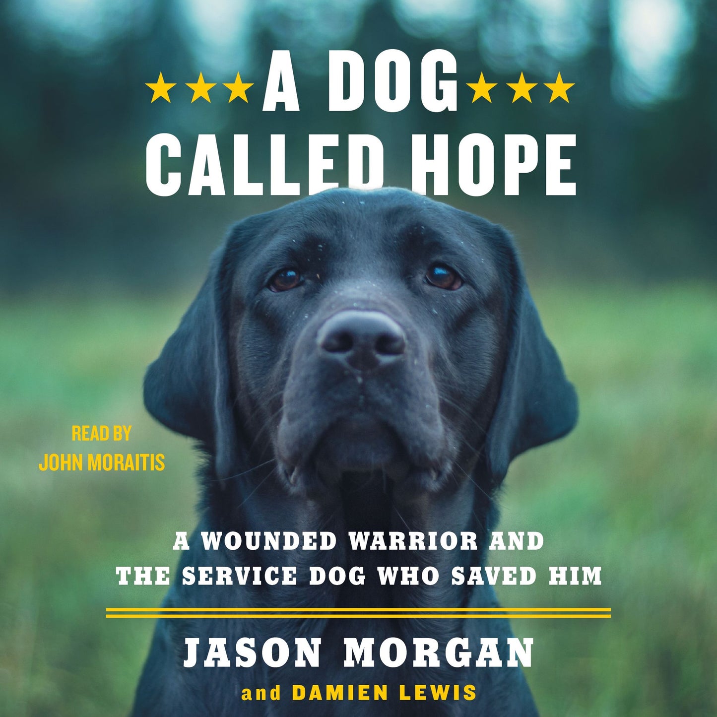 A Dog Called Hope: A Wounded Warrior and the Service Dog Who Saved Him