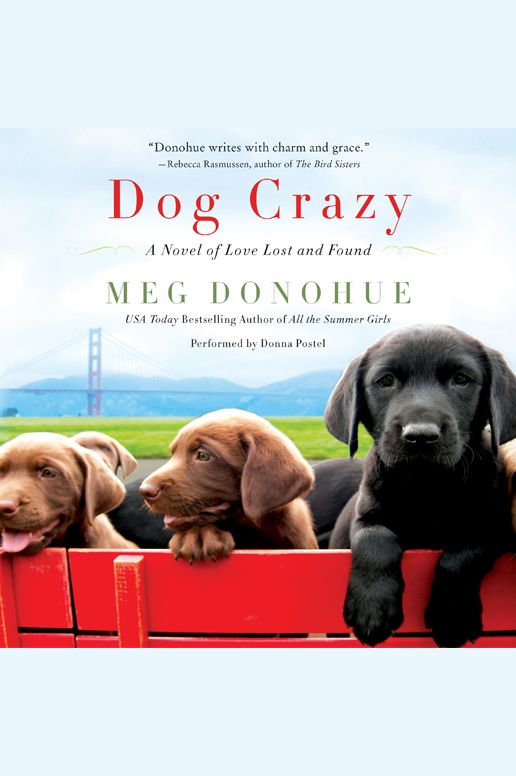 Dog Crazy: A Novel of Love Lost and Found