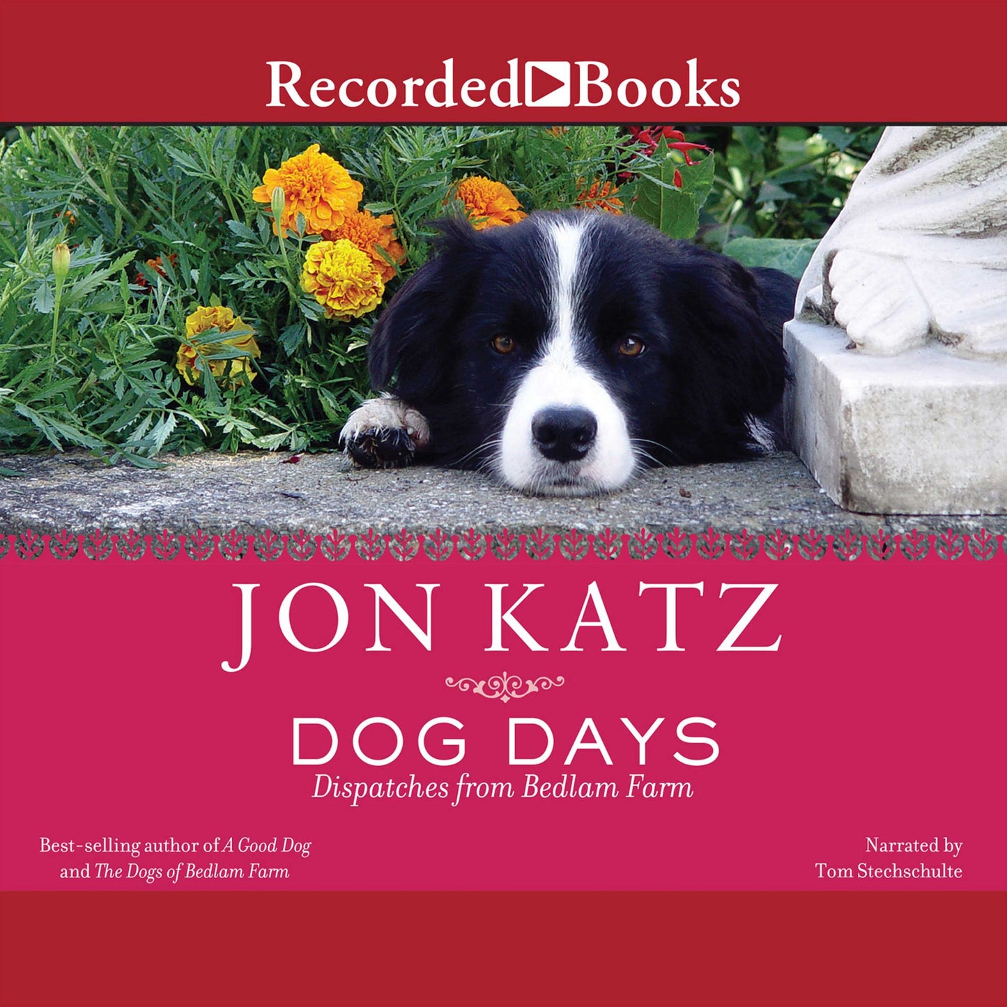 Dog Days: Dispatches from Bedlam Farm