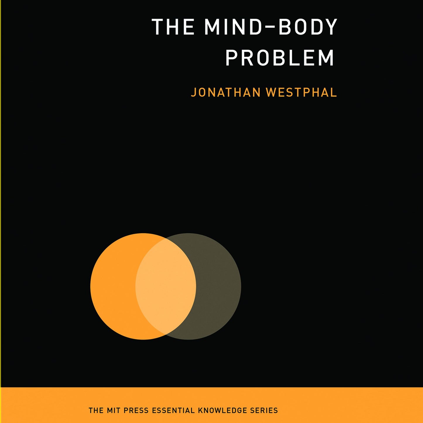 The Mind, Body & Soul Diet: Your Complete Transformational Guide to Health, Healing & Happiness (Abridged)