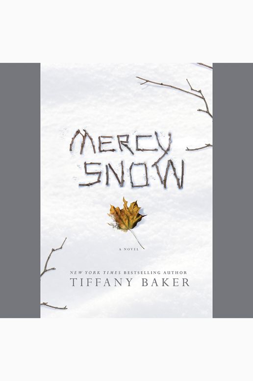 Mercy Snow: A Novel