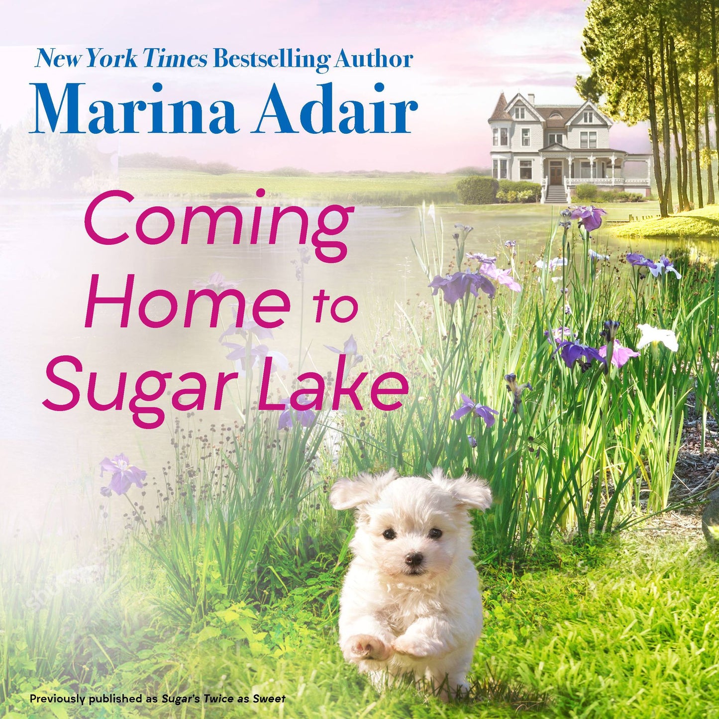 Sugar's Twice as Sweet: Sugar, Georgia: Book 1
