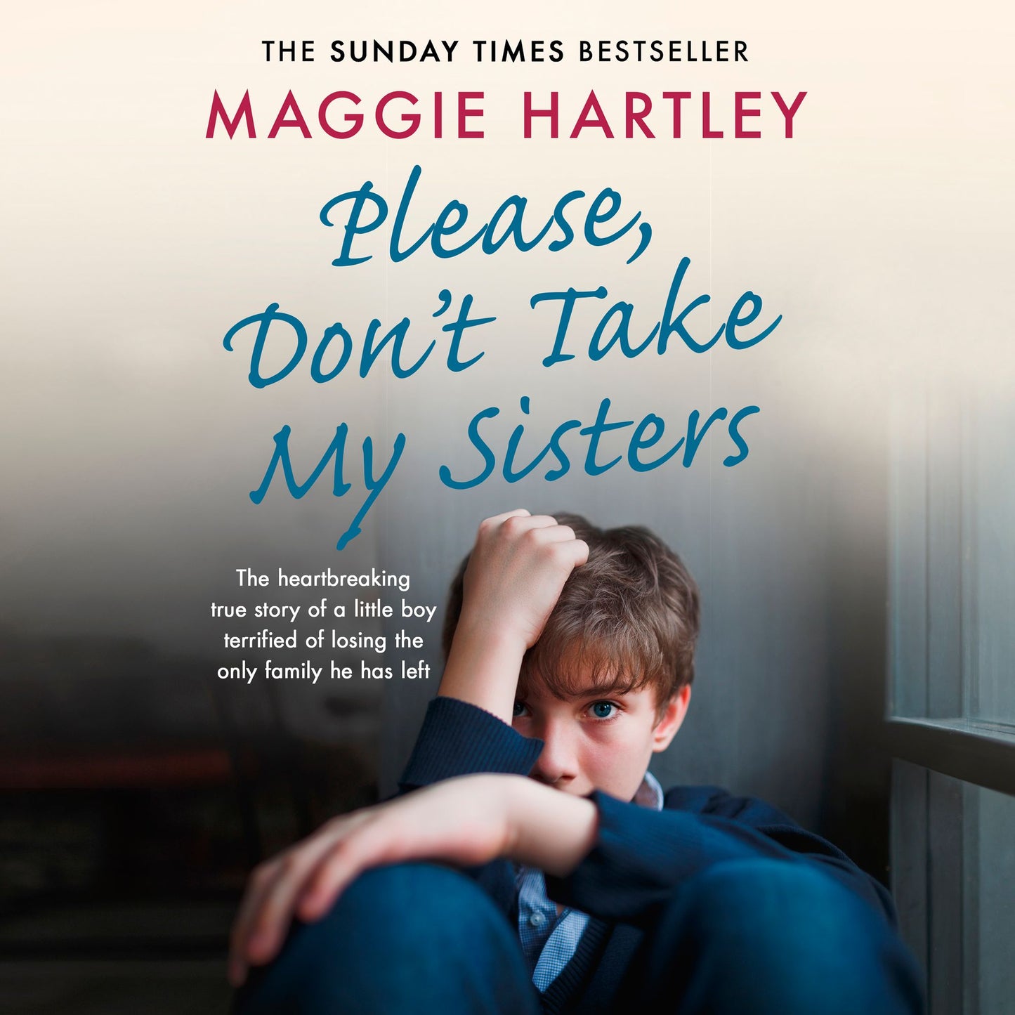 Please Don't Take My Sisters: The heartbreaking true story of a young boy terrified of losing the only family he has left