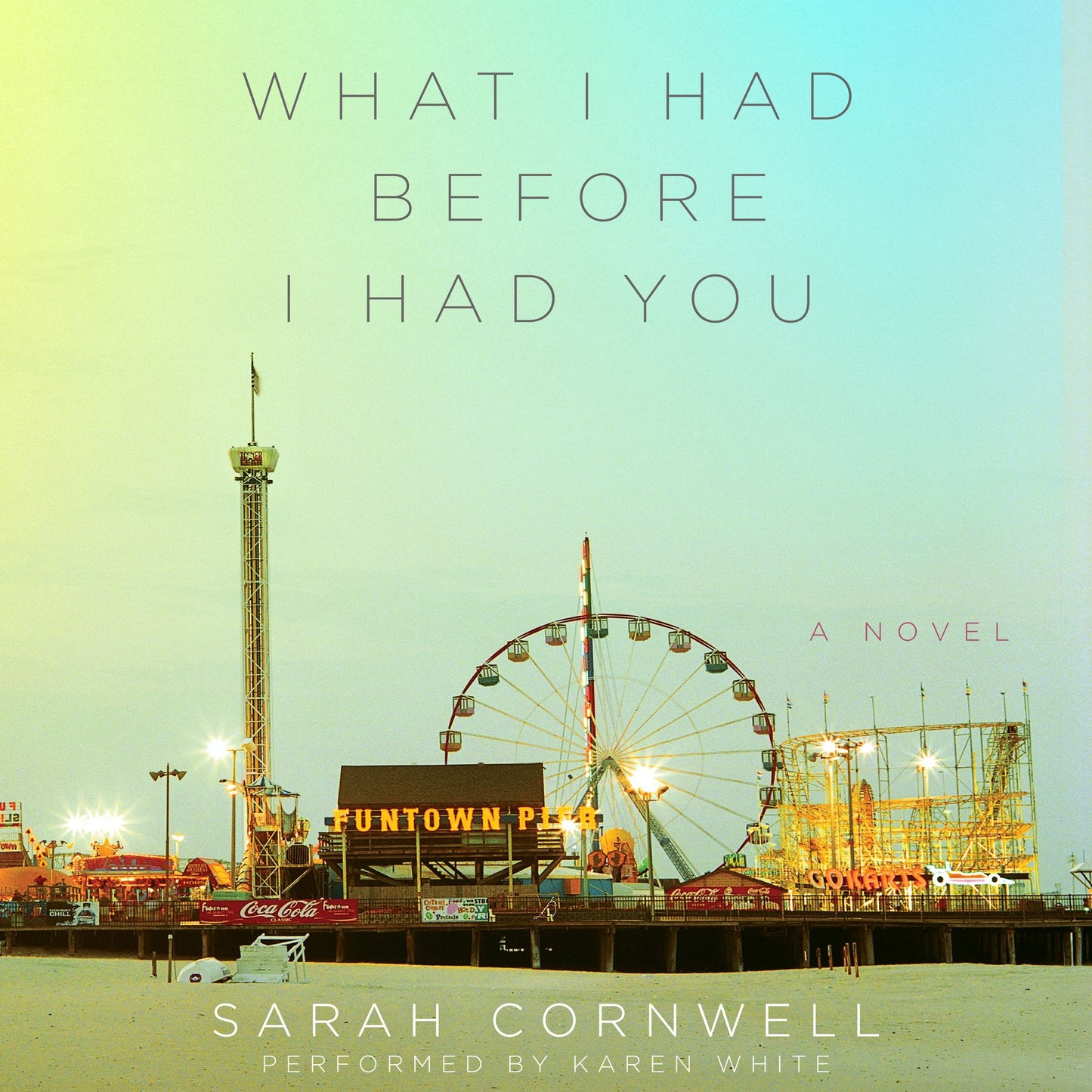 What I Had Before I Had You: A Novel