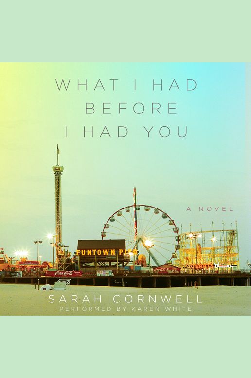What I Had Before I Had You: A Novel