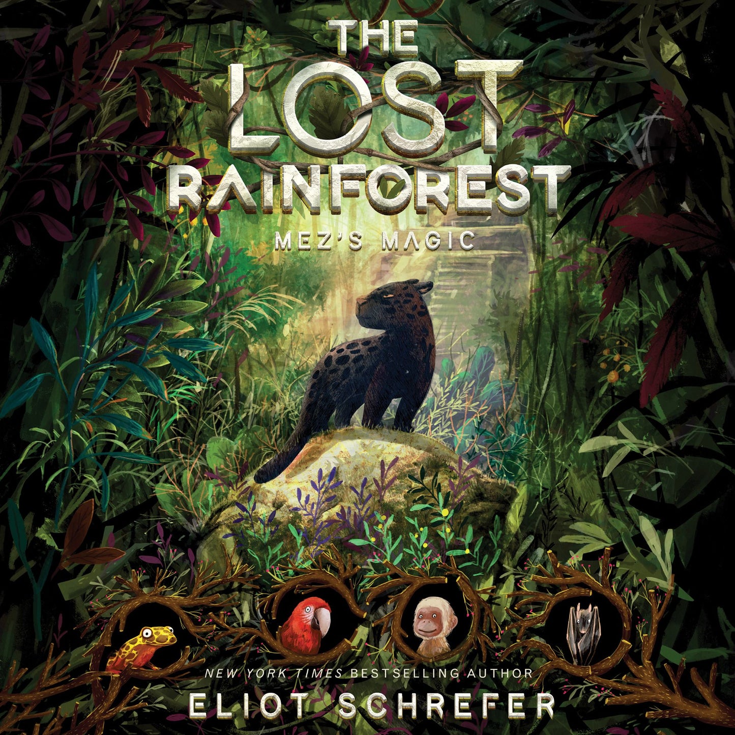 The Lost Rainforest: Mez's Magic